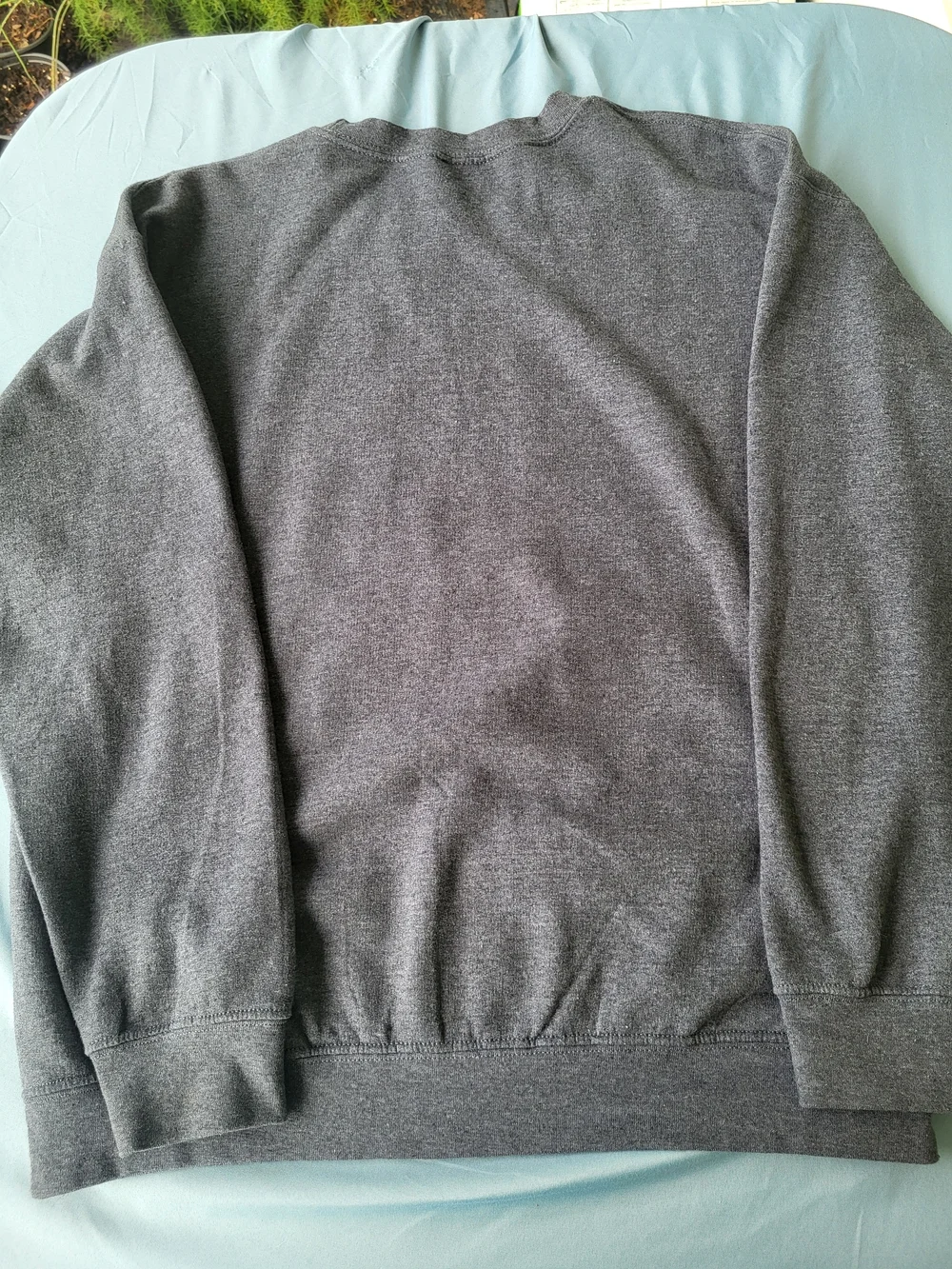 Team Apparel classic crewneck